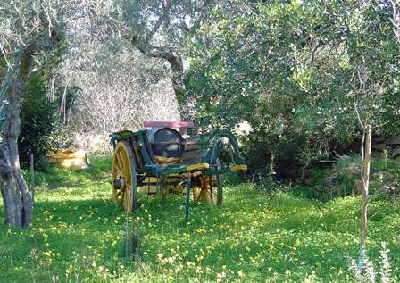 A special garden feature