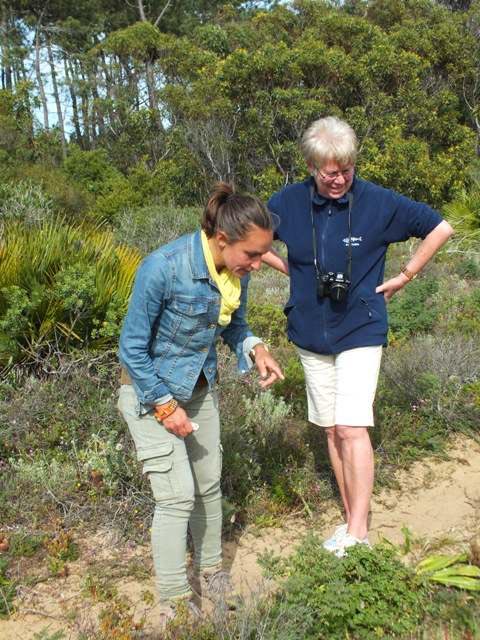 Carla and Sue survey Bug Orchids