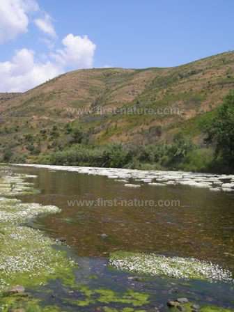 The beautiful River Odeluca