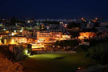 Carvoeiro by night