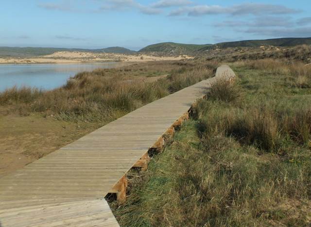Boardwalks in the Algarve