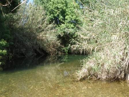 A deep tranquil river pool in the Algarve