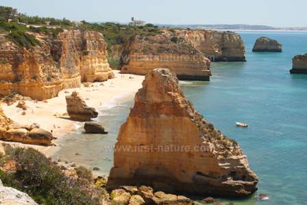 The Algarve coastline