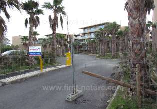 The abandoned CS Palm village