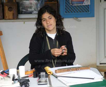 Bird ringing at A Rocha