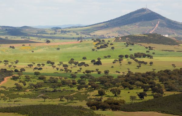 The unforgettable scenery of the Guadiana region