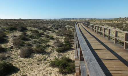 Boardwalk at Ria de Alvor