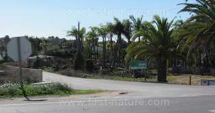 The turn towards the western side of the Alvor Estuary