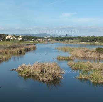 The lake at San Lourenco Golg Course