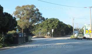 The turn towards Pontal