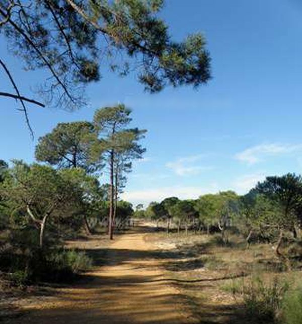 Trails through the National Forest are easy-going