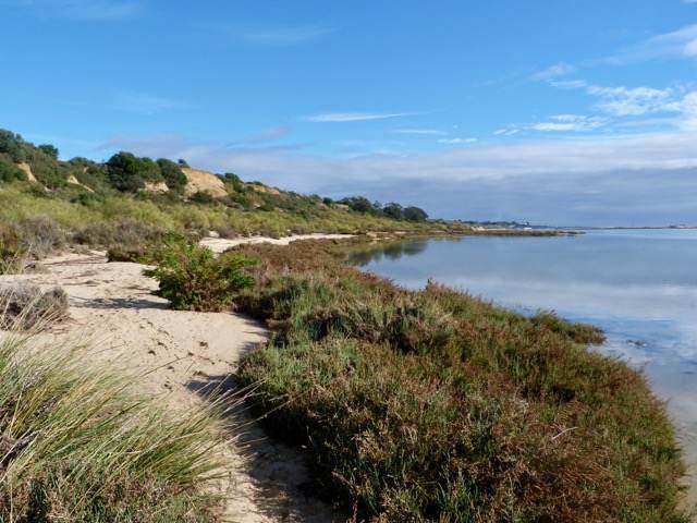 Ria Formosa - east of Cabanas