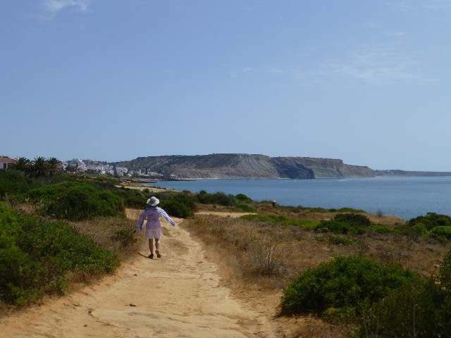 Location just outside Luz where the Palm Moths were found