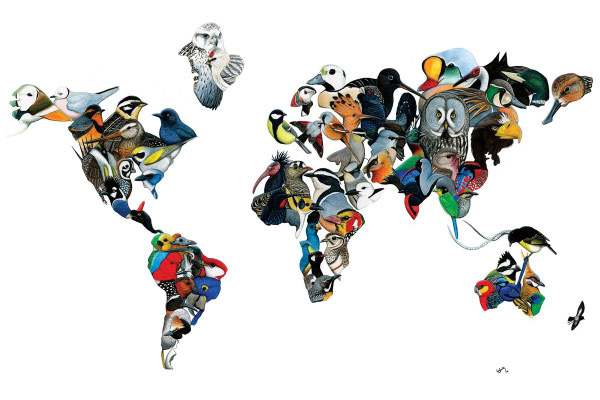 world map for Global Big Day