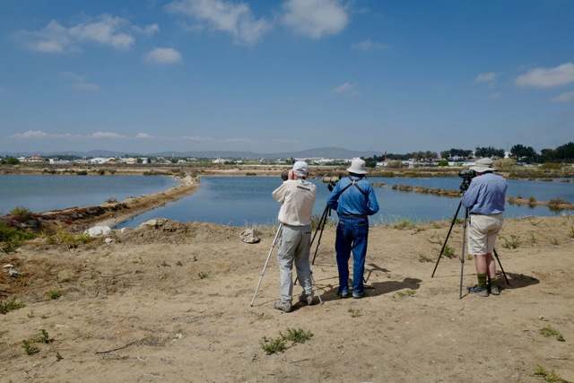 The Team at work at Olhao