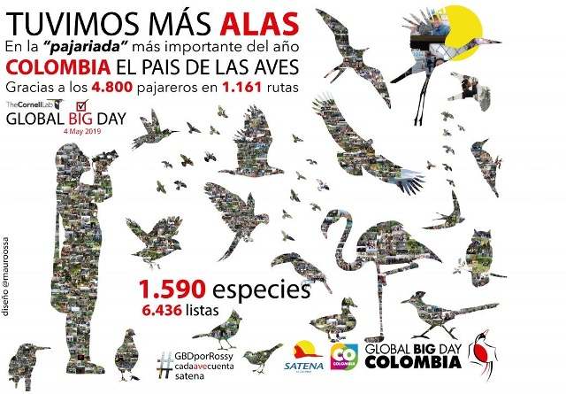 Promotional picture for Global Big Day in Columbia