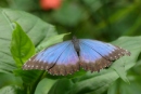 b01