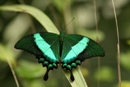 b08
