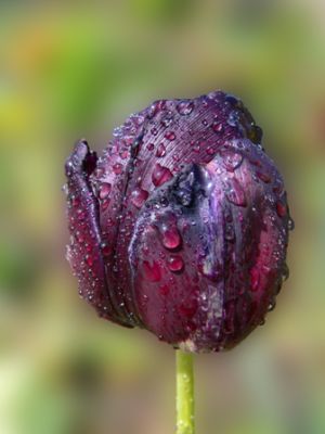 d19