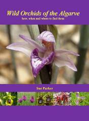 Wild Orchids of the Algarve, how, when and where to find them