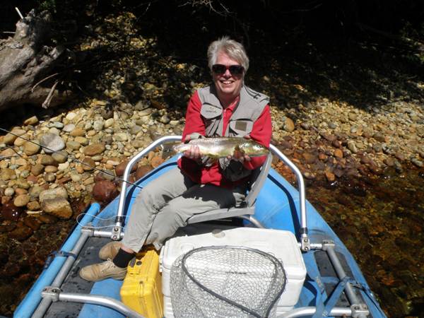 A Claro Solar Rainbow Trout