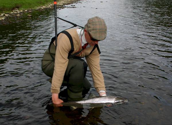 The correct way to release a fish