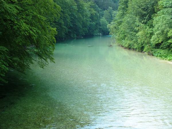 One access to the Sava Bohinjka