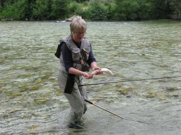 Rainbow trout from the Soca 