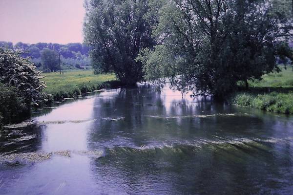 The Avon near Amesbury