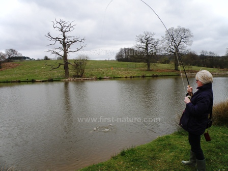 Spring trout fishing at Chalybeate Springs