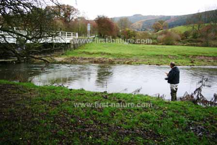 Michael Evans returAn autumn day on the River Teme