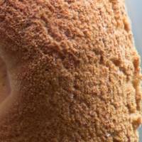 Cap surface, Buchwaldoboletus lignicola