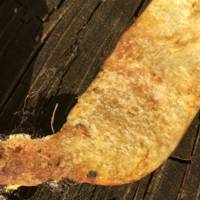 Hortiboletus engelii, cross-section of stem flesh