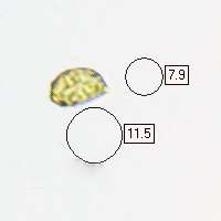 Spores of Cortinarius trivialis