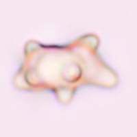 Spore of <em>Inocybe stellatospora</em>