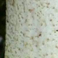 Stem surface of Suillus granulatus