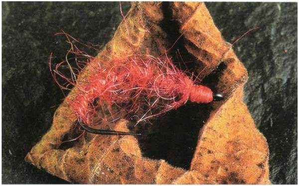 artificial buzzer pupa