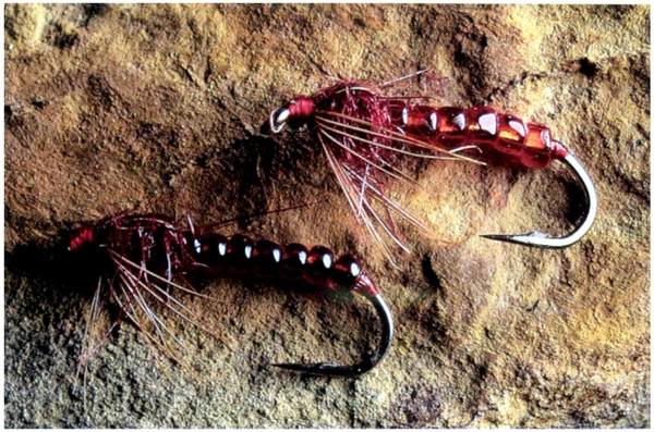 Bloodworm patterns