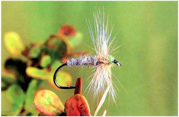 artificial adult buzzer