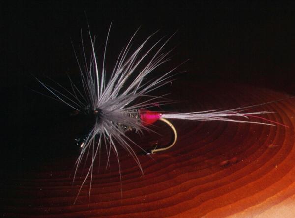 Iron Blue, parachute tying