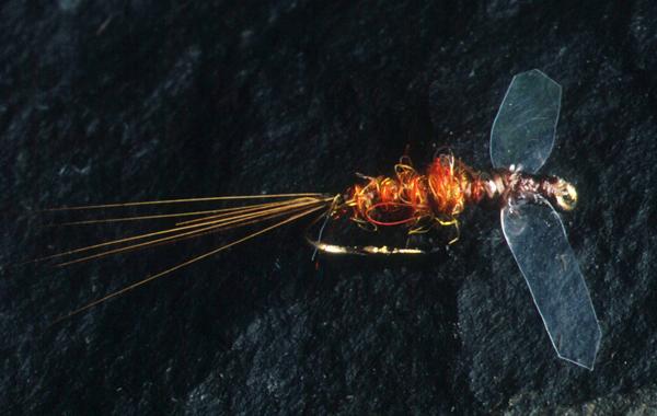 Polythene-winged Spinner, by Brian Clarke