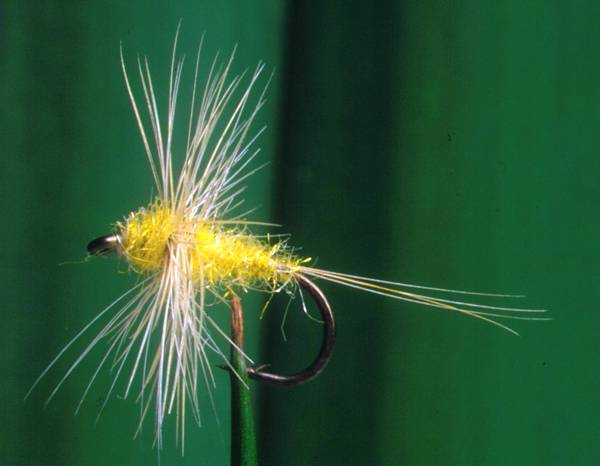 Thorax Hackle Dun
