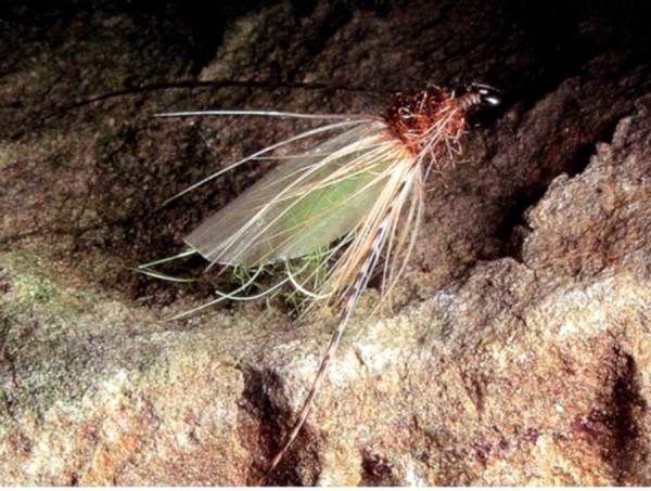 Artificial sedge pupa