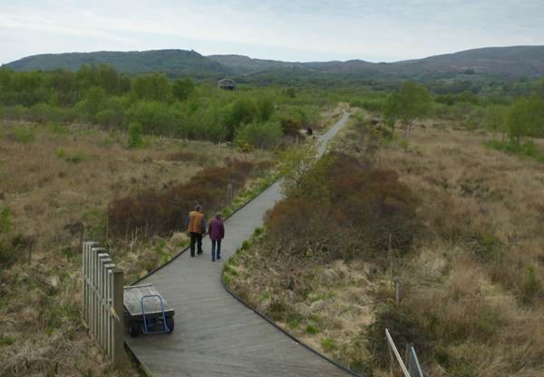 The Board Walk