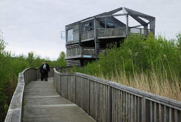 Viewing tower