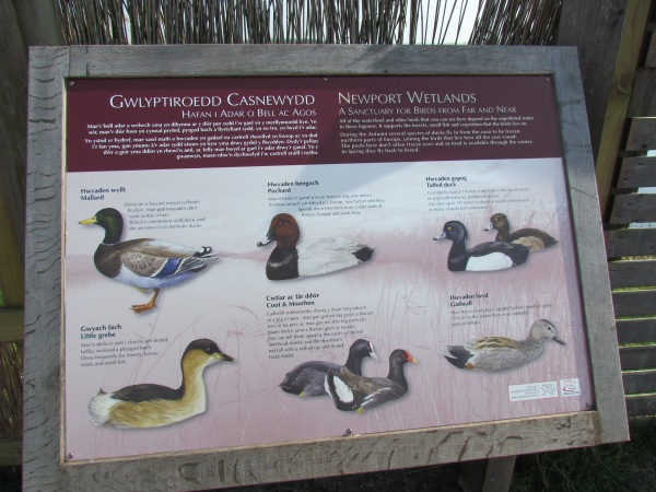 Information board