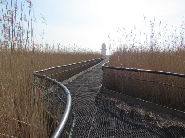 A track to the lighthouse
