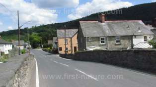 Heol y Berwyn in llandrillo