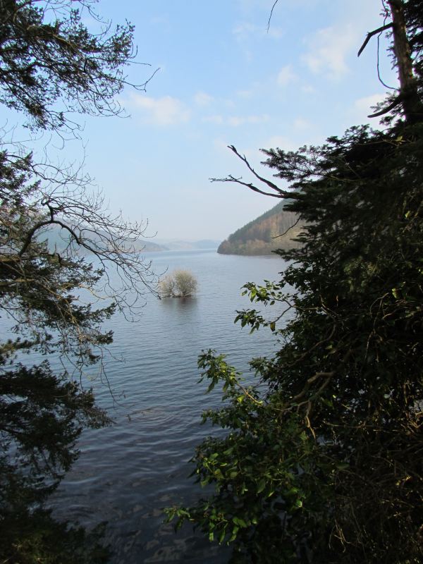 A view over Lake Vyrnwy
