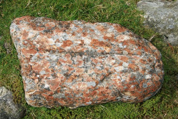 Lichen-covered rocks